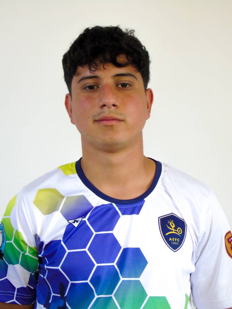 Andres Guillermo