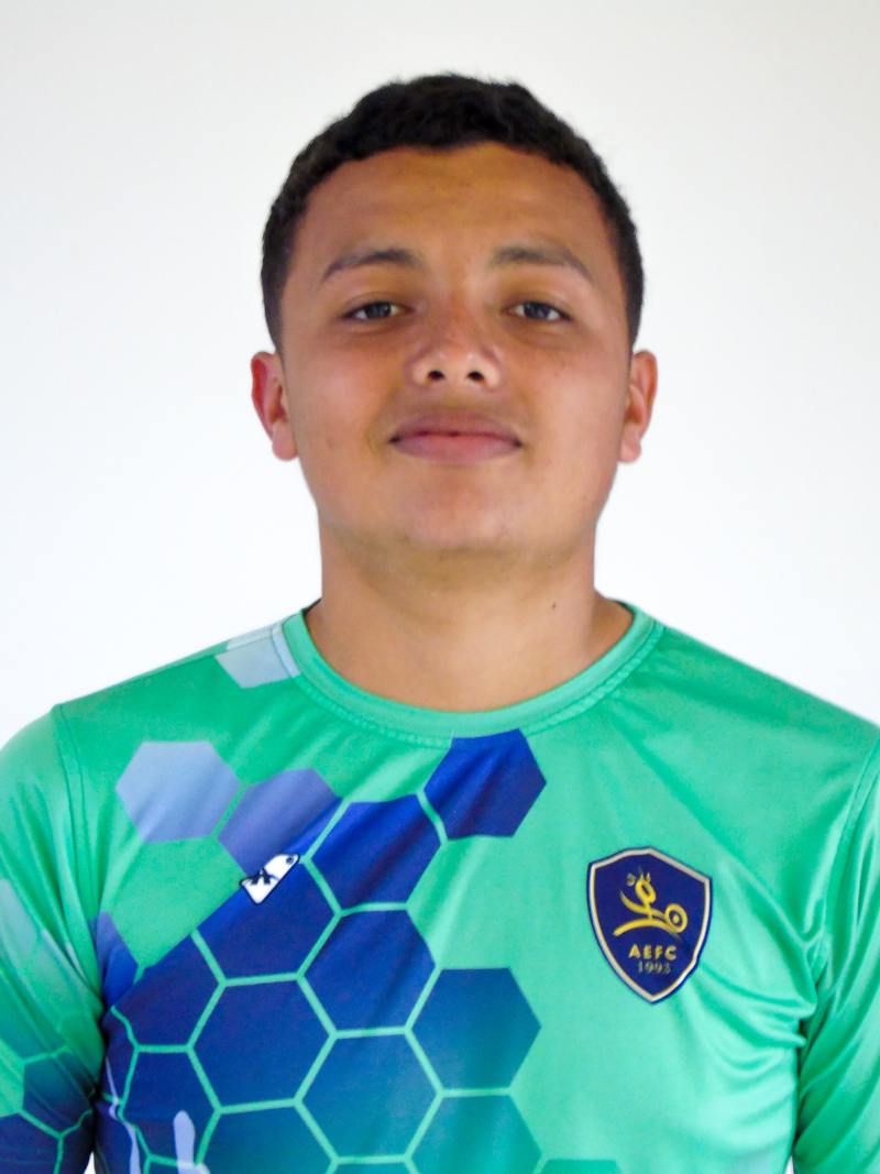 MOISES DAVID