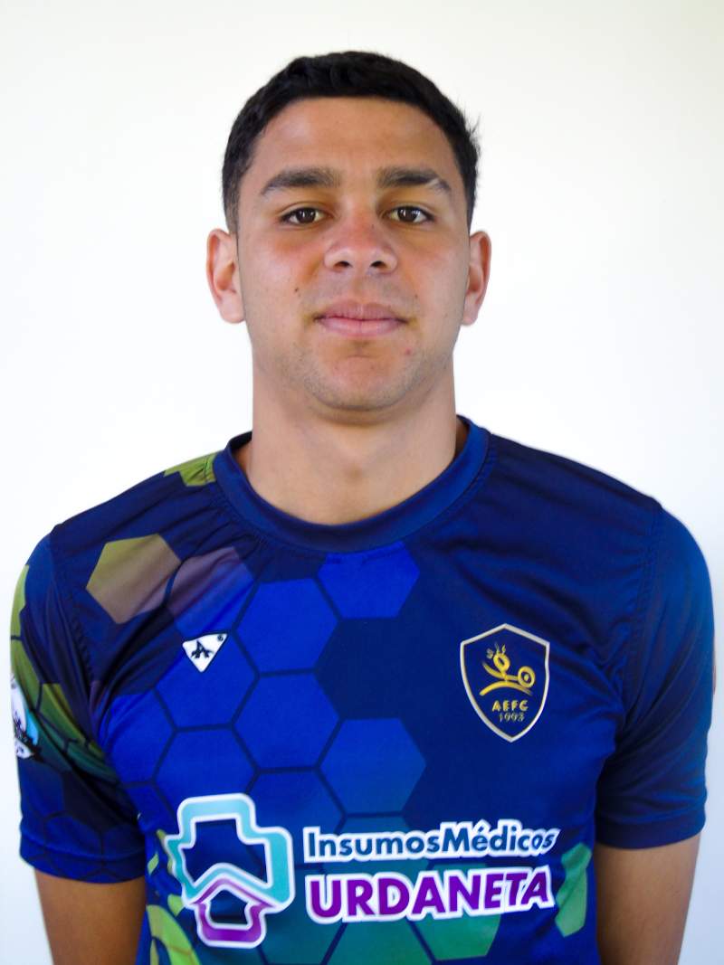 Alexander David