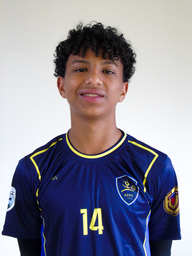 Angel David